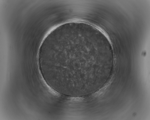 X0000095511429200712141413