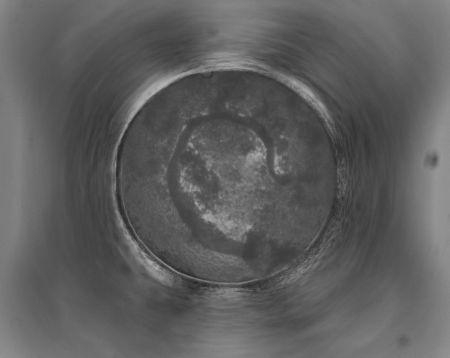 X0000095511431200712141413