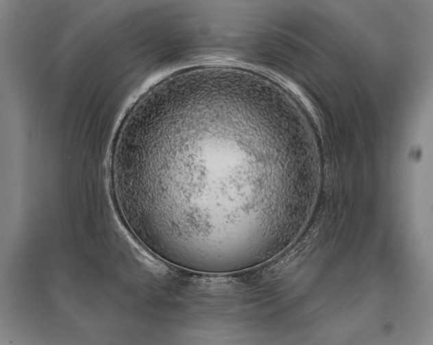 X0000095511432200712141413