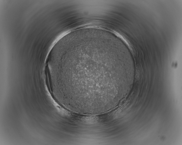 X0000095511434200712141413