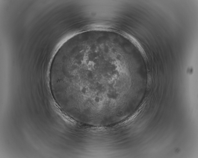 X0000095511435200712141413