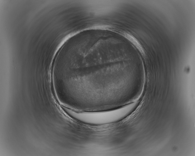 X0000095511436200712141413