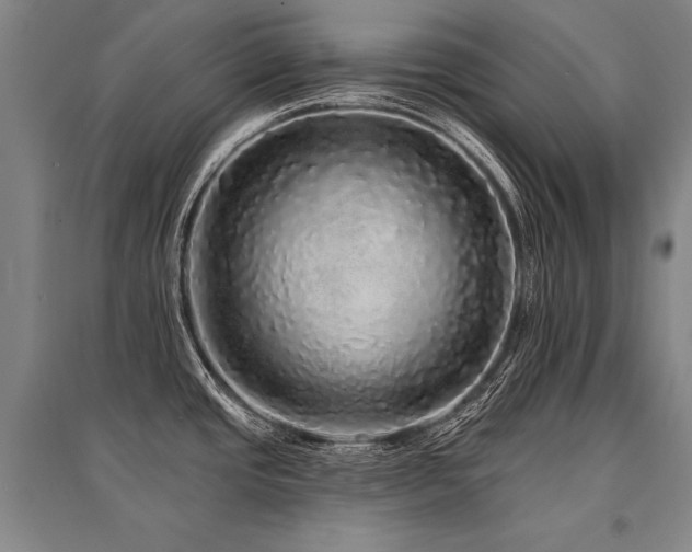 X0000095511437200712141413