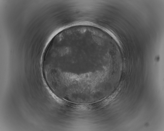 X0000095511438200712141413