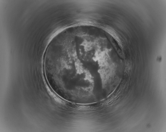 X0000095511439200712141413