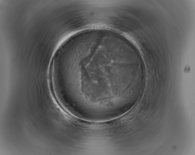 X0000095511440200712141413