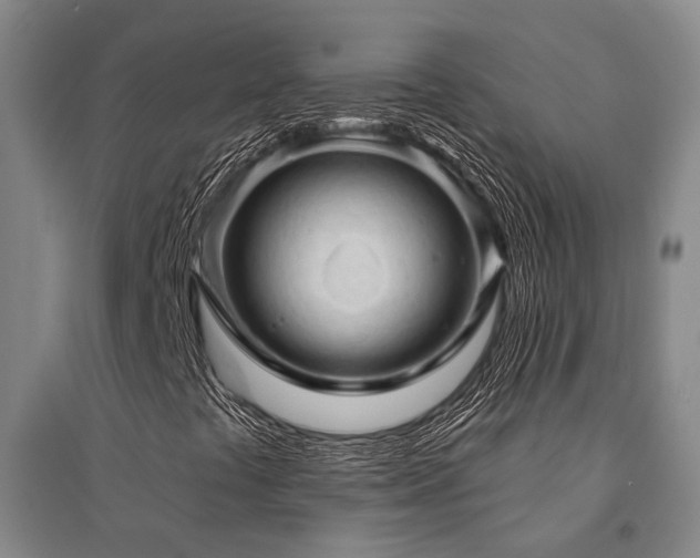 X0000095511441200712141413