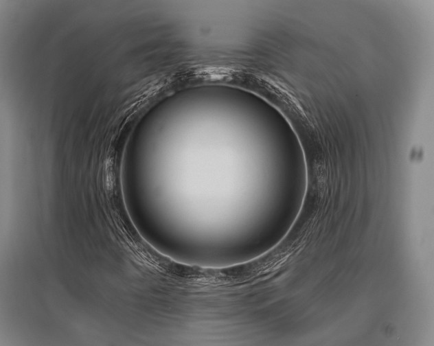 X0000095511442200712141413