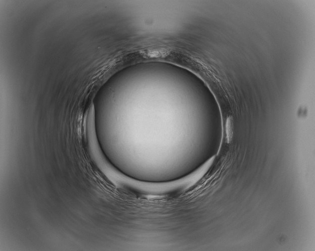 X0000095511443200712141413