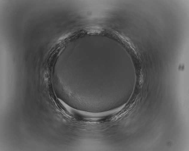 X0000095511445200712141413