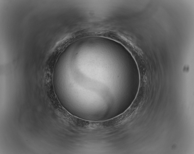 X0000095511447200712141413