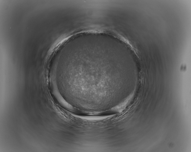 X0000095511448200712141413