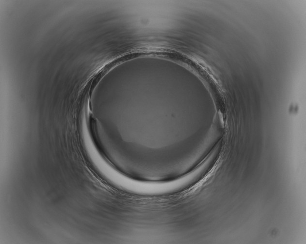 X0000095511449200712141413