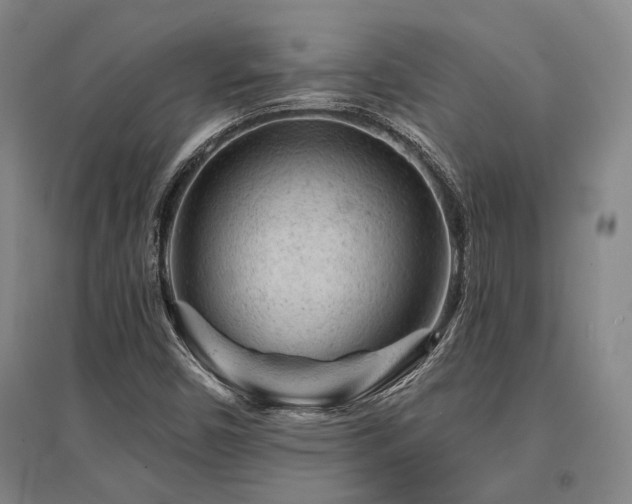 X0000095511450200712141413