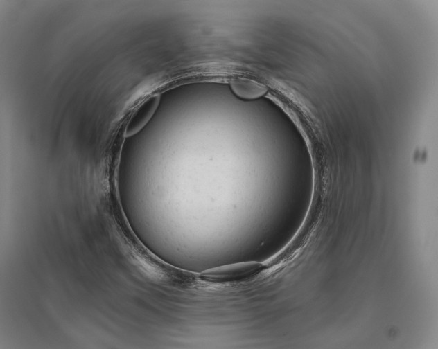 X0000095511451200712141413