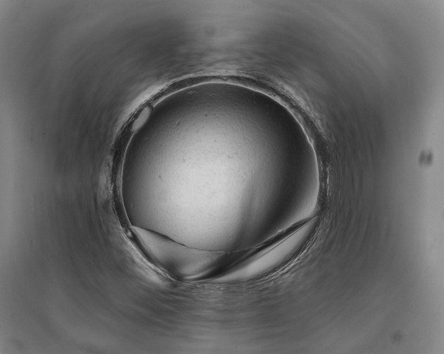 X0000095511452200712141413
