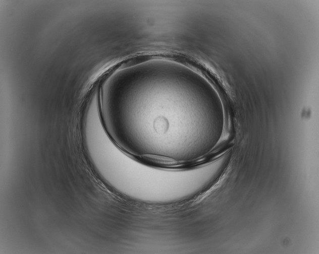 X0000095511453200712141413