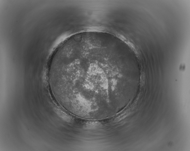 X0000095511454200712141413