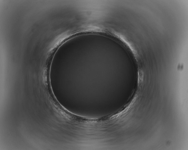 X0000095511455200712141413