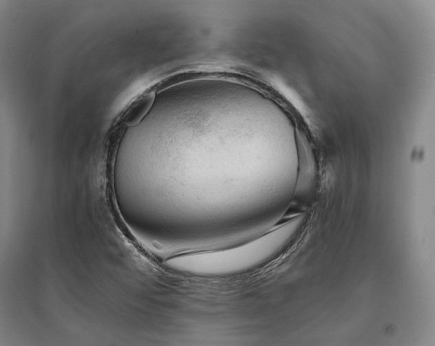 X0000095511456200712141413