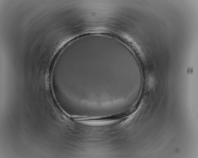 X0000095511457200712141413
