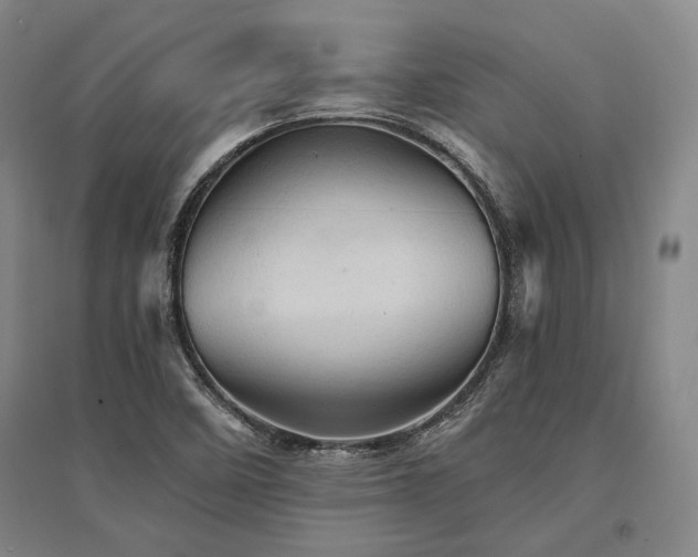 X0000095511458200712141412