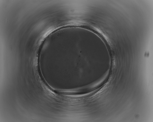 X0000095511459200712141412
