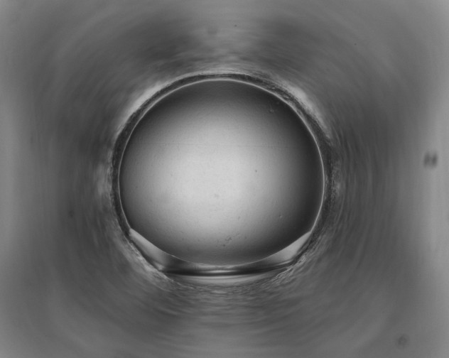 X0000095511460200712141412