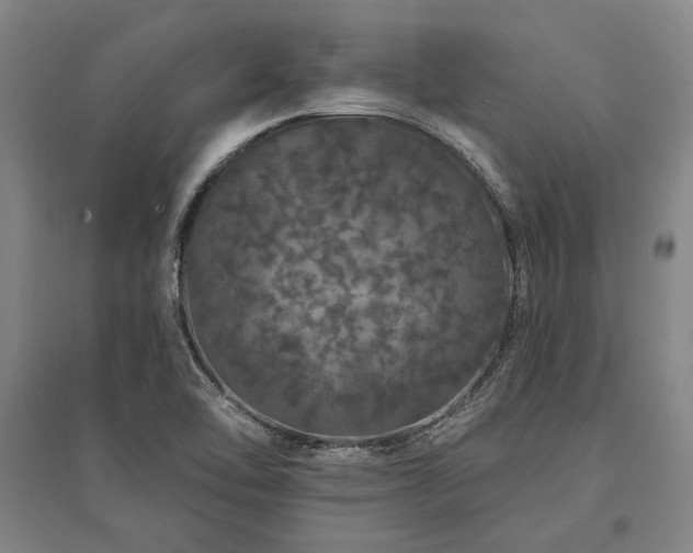X0000095511462200712141412