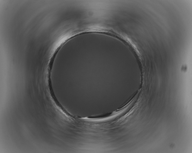 X0000095511463200712141412