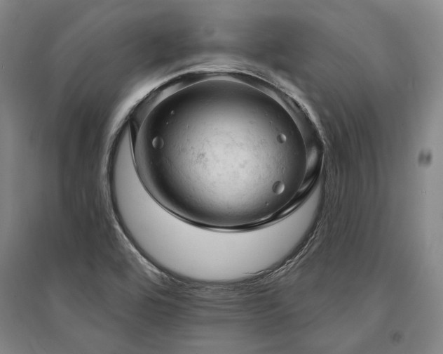 X0000095511464200712141412
