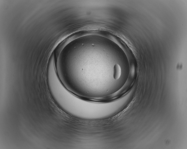 X0000095511465200712141412