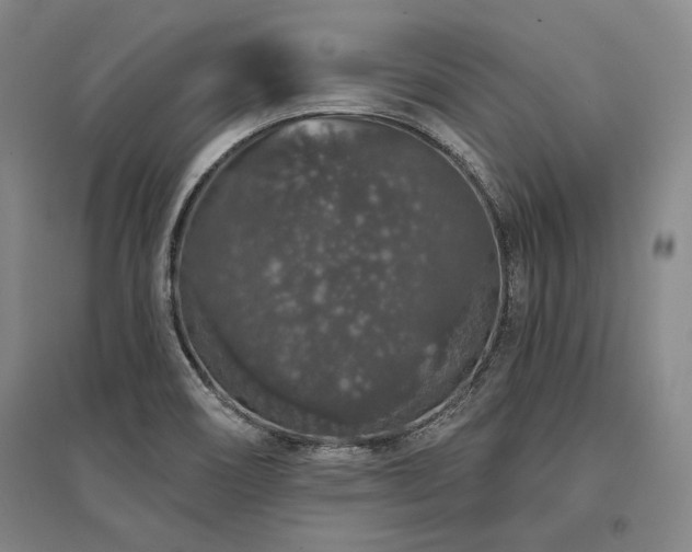 X0000095511466200712141412