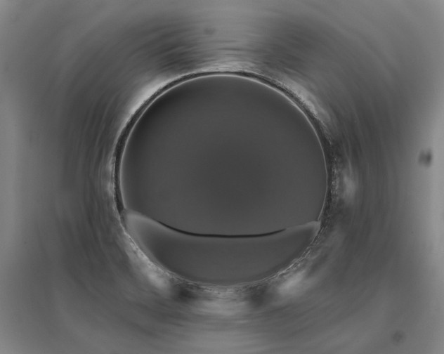 X0000095511468200712141412