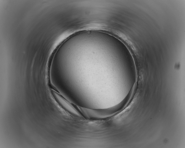 X0000095511469200712141412