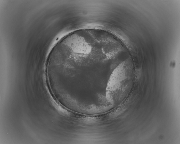 X0000095511470200712141412