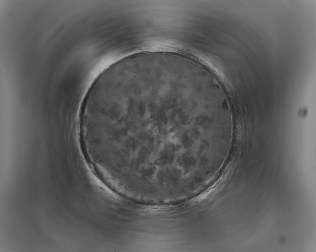 X0000095511471200712141412