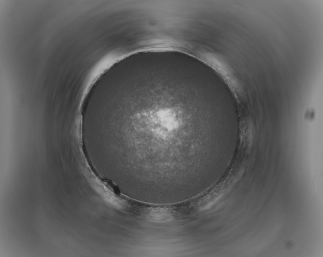 X0000095511472200712141412