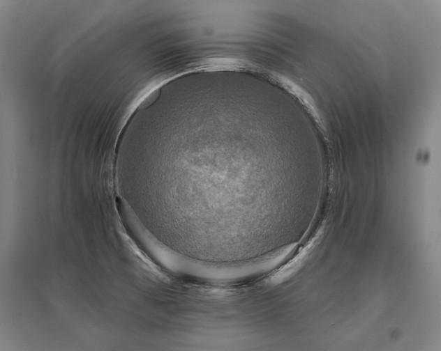 X0000095511473200712141412