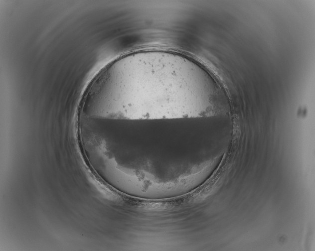 X0000095511474200712141412