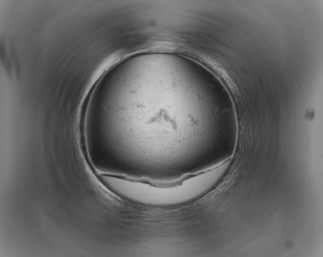 X0000095511475200712141412