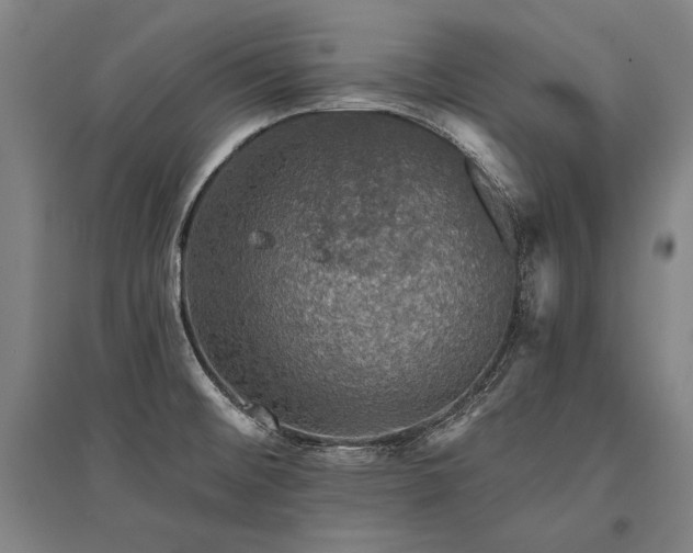 X0000095511476200712141412