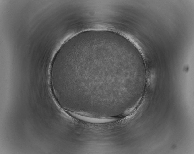 X0000095511477200712141412