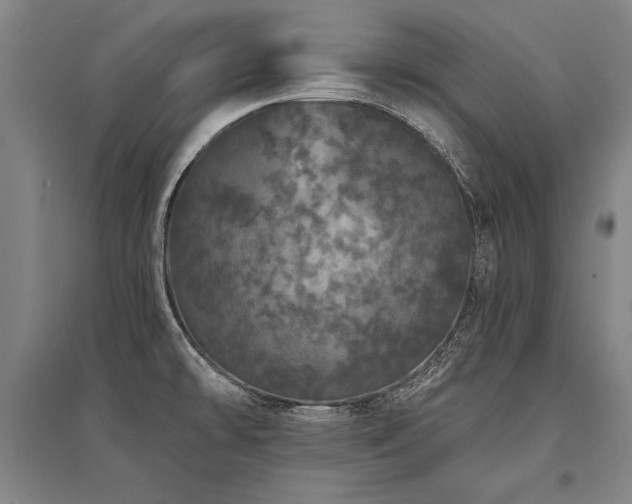 X0000095511478200712141412