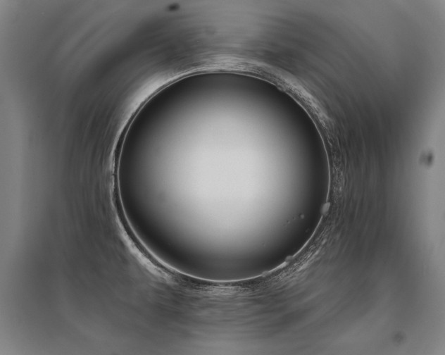 X0000095511479200712141412