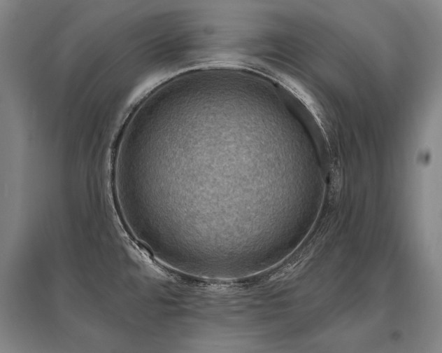 X0000095511480200712141412