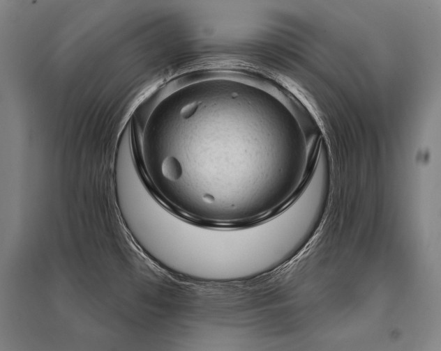 X0000095511481200712141412