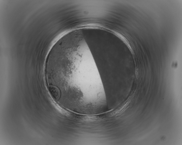 X0000095511482200712141412