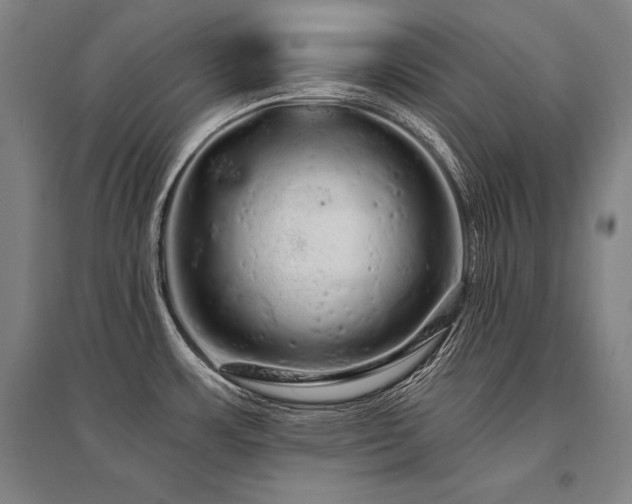 X0000095511483200712141412