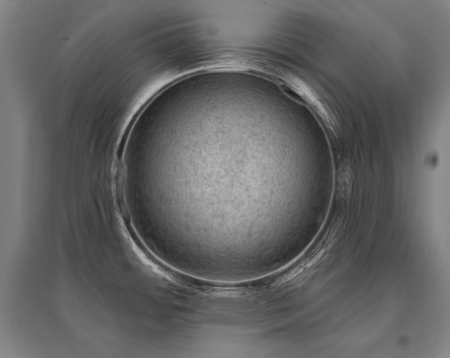X0000095511484200712141412